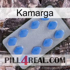 Kamarga 21